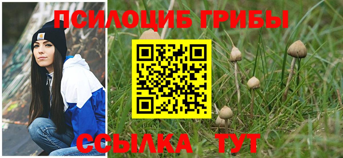 Галлюциногенные грибы Cubensis Ступино