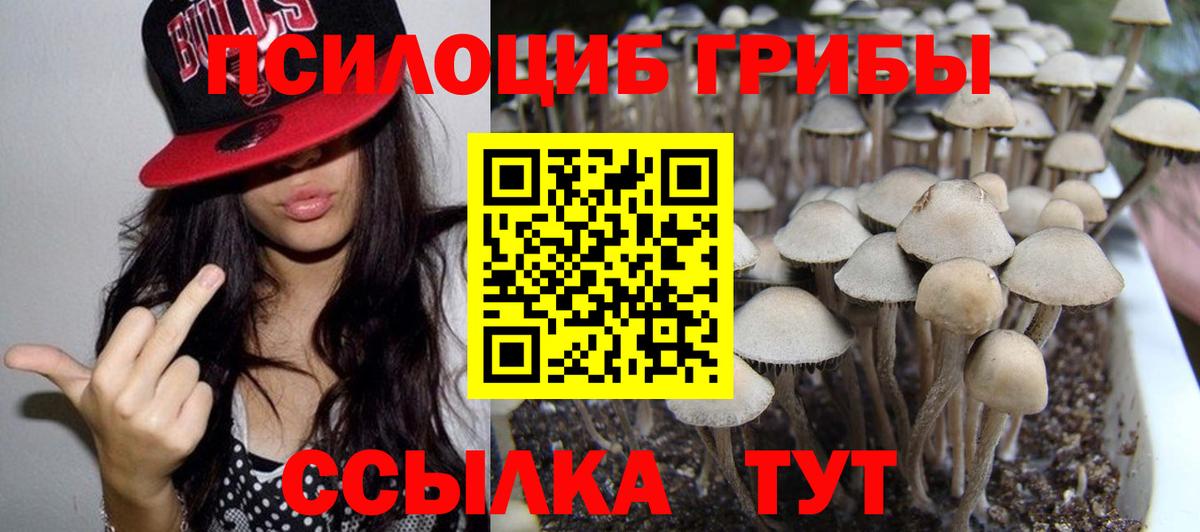 Галлюциногенные грибы Cubensis  Вход с VPN  Ступино 